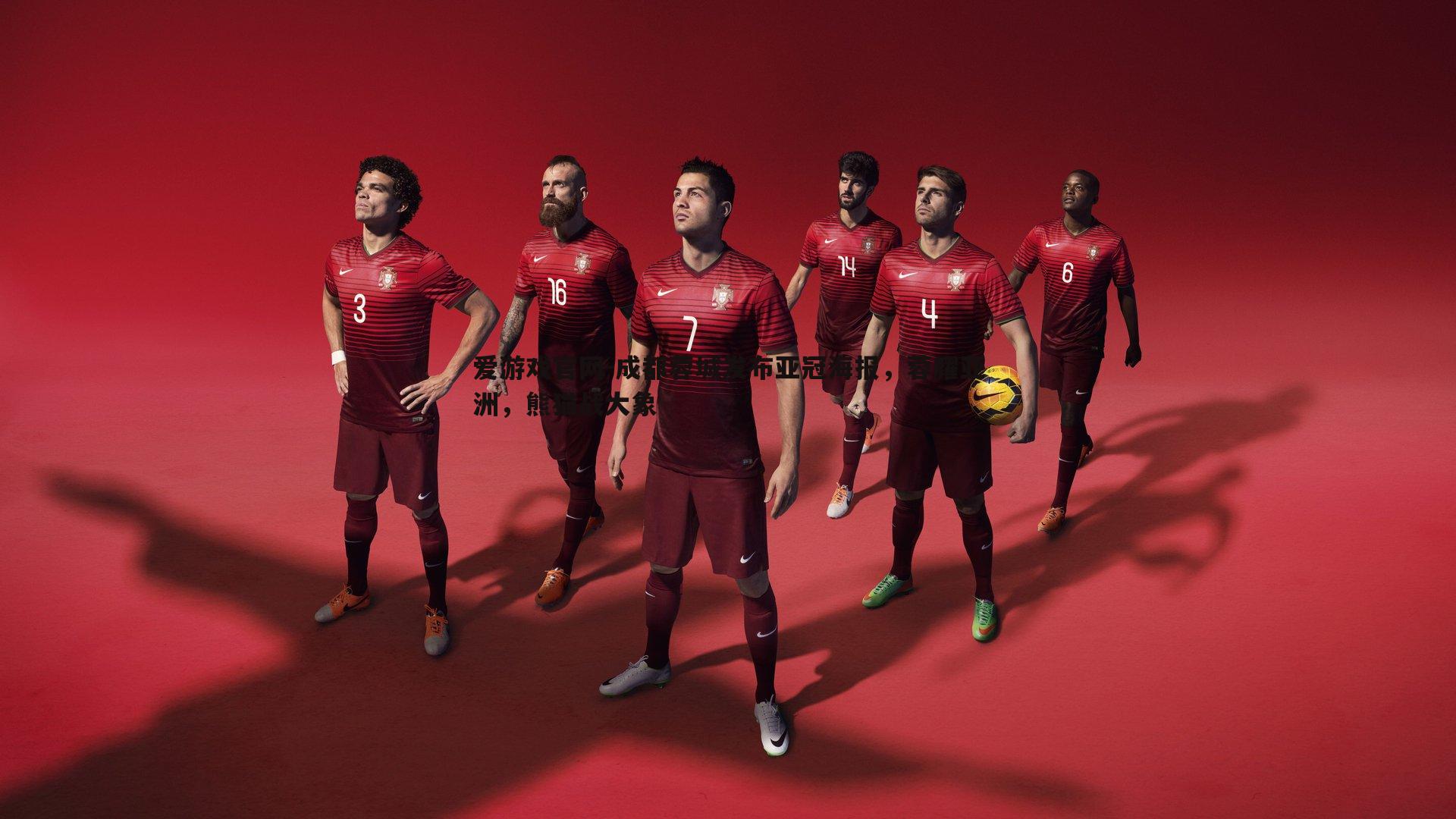 爱游戏官网-成都蓉城发布亚冠海报，蓉耀亚洲，熊猫战大象