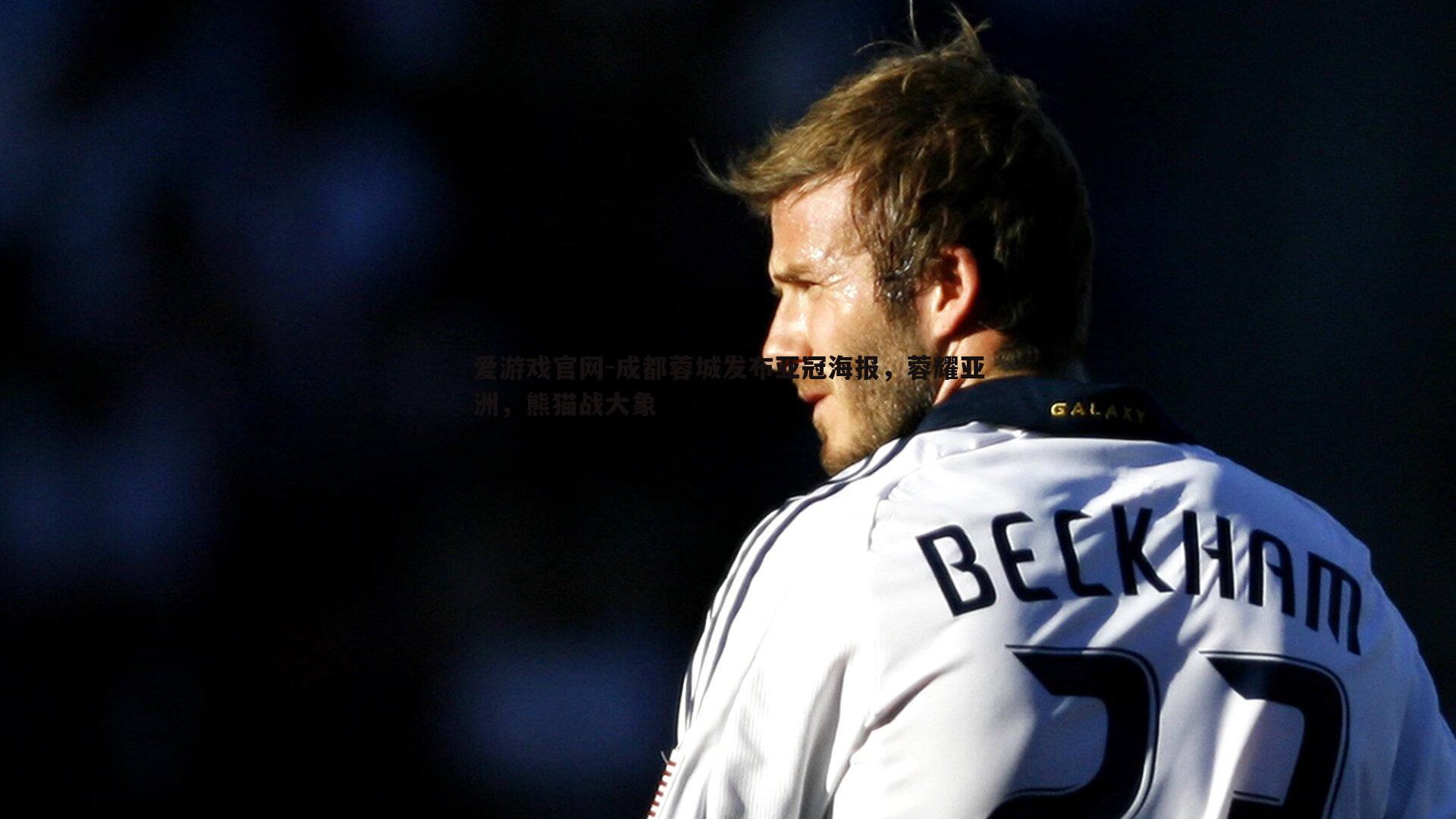 成都蓉城发布亚冠海报,蓉耀亚洲,熊猫战大象